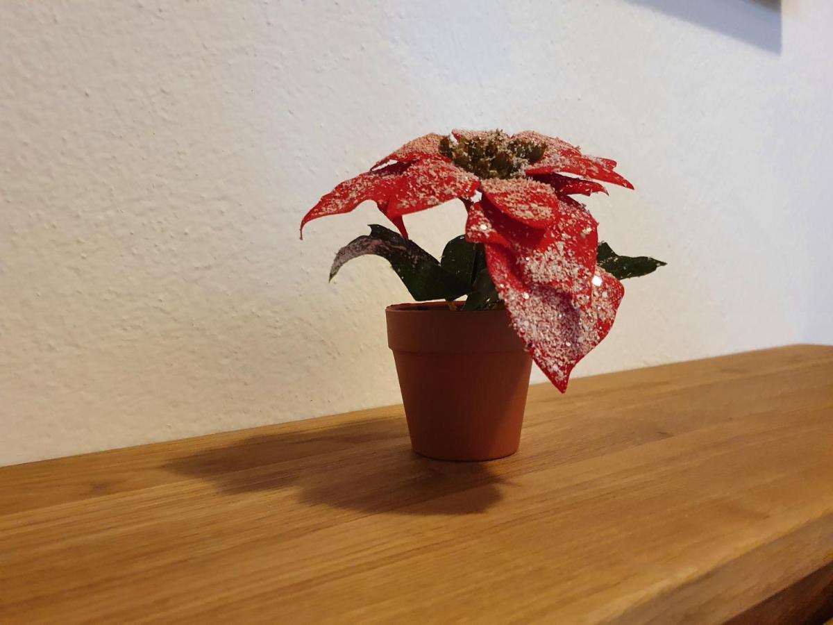 Ferienwohnung Kroell Zell am Ziller Esterno foto